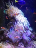 水族館にて