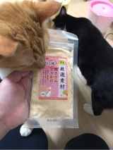 口コミ：モニター 猫のふりかけの画像（2枚目）