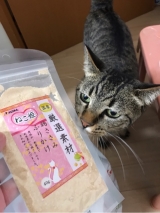 口コミ：モニター 猫のふりかけの画像（6枚目）
