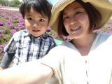 「初めての芝桜」の画像（1枚目）