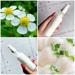 ・・・WHITE ICHIGO （白いちご）🍓オーガニック テック-クリーム 60g 価格：4,860円(税込)@whiteichigo_official ・・白いちご&hellip;のInstagram画像