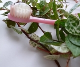 口コミ：『ボタニカル歯磨きジェル』有限会社トロフィー佐藤（あんしん館）さま◆【液だれせず、穏やかな使い心地の爽やか歯磨きジェル】の画像（3枚目）