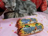 口コミ：【モニプラ モニター】『ジンジャー・トム＜２種＞』と一緒に、猫たち登場！！の画像（3枚目）