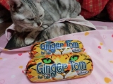 口コミ：【モニプラ モニター】『ジンジャー・トム＜２種＞』と一緒に、猫たち登場！！の画像（7枚目）