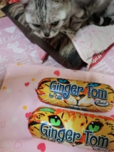 口コミ：【モニプラ モニター】『ジンジャー・トム＜２種＞』と一緒に、猫たち登場！！の画像（1枚目）