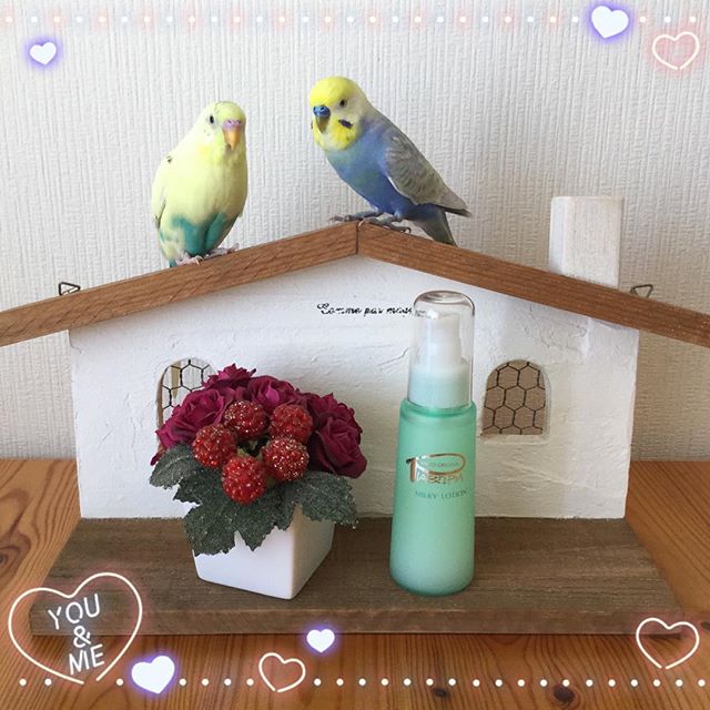 口コミ投稿：.ルル&メル:『ピアベルピア ミルキーローション』で、ママの肌がキレイになるぞ！🐥😊✨…