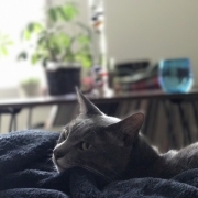 「バンちゃん♡」真夏にぴったり！人気『ヘアソープ＆ヘアマスク』フォトコンテストを開催！の投稿画像