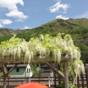 「青い空と白い藤」真夏にぴったり！人気『ヘアソープ＆ヘアマスク』フォトコンテストを開催！の投稿画像