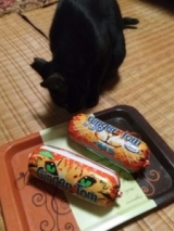 口コミ：無添加キャッフード「ジンジャー・トム」モニターしました。の画像（6枚目）