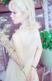 「写真」の画像（1枚目）