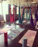 シルクサスペンション