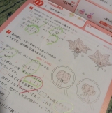 口コミ記事「夏休み中の復習に「ドリルの王様理科」」の画像