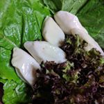 サラダフィッシュ食べてみました。サラダチキンより美味しい。魚は普段食べないから尚更美味しく手軽に魚が食べられるのも嬉しい。相変わらず盛り付けとか見た目センスないですが自分で食べるや&hellip;のInstagram画像
