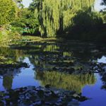 この夏の思い出は、なんといっても7月に行ったフランス旅行。念願のジベルニーのモネの池、ホントにモネが描いた絵そのままでした。#マイブック、#夏の思い出、#monipla、#MYBOOKLIFEファンサ&hellip;のInstagram画像