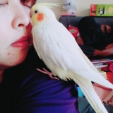 「写真」の画像（1枚目）