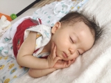 「幸せな毎日」の画像（2枚目）