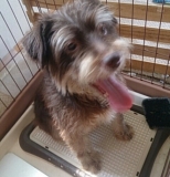 「お願いします(o^^o)」の画像（1枚目）