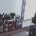 #インテリア雑貨 #インテリア#ママケア使いたい #monipla #ナリスアップコスメティックスファンサイト参加中のInstagram画像