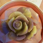 #ハンター製菓  #ペタル  #レザンマーブル  #薔薇  #チョコレート  #monipla  #ハンター製菓のファンサイト参加中  #クリスマス  #バレンタイン  #ギフト  #おすすめ  #繊&hellip;のInstagram画像