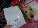 口コミ：無添加ドッグフード安心♪の画像（2枚目）