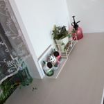 #ママケアが使いたい #monipla #ナリスアップコスメティックスファンサイト参加中のInstagram画像