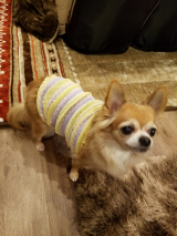 口コミ記事「３０代女性必見！目元用美容液ジェル『VEGESTYLEEYESERUMGEL』」の画像