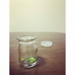 小瓶に入れて#日本#tokyo#東京#photo #monipla#モニプラ#モニプラ当選#モニター当選 #お試し #モニター#趣味#プッシュピン &hellip;のInstagram画像