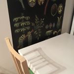 我が家のダイニング☺️✨ ちょっと一息の時にココでいつものんびり☺️ #ママケアが使いたい #monipla #ナリスアップコスメティックスファンサイト参加中のInstagram画像