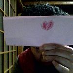 #愛の木に願いを#メリーチョコレート#monipla#メリーチョコレートファンサイト参加中のInstagram画像