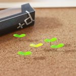 植物育ててま～す♪.と言いたくなる、本物の双葉のようなプッシュピン「グリーンピン」のモニターをさせていただきました(*^^*).ただの画鋲だと殺風景になりがちだけど、鮮やかな緑のグリー&hellip;のInstagram画像