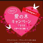 #愛の木に願いを #メリーチョコレート #monipla #メリーチョコレート ##愛の木に願いを #メリーチョコレート #monipla #メリーチョコレートファンサイト参加中のInstagram画像
