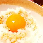 モニプラ様からアサムラサキさんのかき醤油をモニタープレゼントしていただいたので、早速たまごかけご飯にしました!*かき醤油って牡蠣臭くないんかな？と心配だったんですが、全然そんなことない!臭&hellip;のInstagram画像