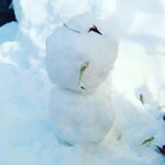 パパが娘の為に作った初めての雪だるま(｡&bull;ᴗ&bull;｡)♡来年も家族仲良く雪遊びが出来ますように🎶#愛の木に願いを #メリーチョコレート #monipla #メリーチョコレートファンサイト参加中のInstagram画像