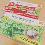 栽培セットで家庭菜園💐ラディッシュとブロッコリースプラウトが届きました〜。しっかり育つといいな🥦✨ #dcm栽培セット #くらしメイド #monipla #DCMホールディングスファンサイト参&hellip;のInstagram画像