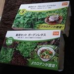 栽培セットの「ブロッコリースプラウト」と「ガーデンレタス」です。手軽に新鮮な野菜が食べられるのがうれしいです(^-^)v発芽に適した気温になったらすぐに栽培始めます。すごく楽しみです🙆&hellip;のInstagram画像