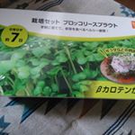 dcmホールディングスさんの栽培セット届きました😊さっそく種まきして育ててみます☺️収穫楽しみー❤️❤️❤️ﾌﾞﾛｯｺﾘｰｽﾌﾟﾗｳﾄは土栽培でも大丈夫かな❓  #monipla#dc&hellip;のInstagram画像