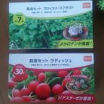 先日、#ラディッシュ  と#ブロッコリースプライト の#栽培セット が届きました。箱の中には、プランター、種、土など、全て必要な物は揃っています。発芽生育温度はどちらも15～20℃なの&hellip;のInstagram画像