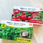 お家の中でお野菜育ててみるーー楽しみやなーー😄🌽🥒🍅🍆🥔#dcm栽培セット #くらしメイド #monipla #DCMホールディングスファンサイト参加中 #栽培セット #ブロッコリースプラ&hellip;のInstagram画像