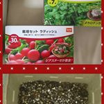 DCMブランド　栽培セットを育てます。プランター、種、土などすべて揃っているのが便利ですね。育てるのが楽しみです(*^.^*)#dcm栽培セット #くらしメイド#monipla&hellip;のInstagram画像