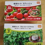 モニプラさんを通じてDcmホールディングスさんの栽培セットをお試しさせていただきました！うちに届いたのはラディッシュとブロッコリースプライト☆今日はラディッシュを植えてみました(*>&forall;<*)&hellip;のInstagram画像