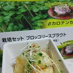 ...彩りに緑&hearts;️ あっという間に食べ頃✨何でも枯らしちゃう私でも出来た❤️三回分の種が入っていたから、まだまだ食べれる🎵#dcm栽培セット #くらしメイド #monipl&hellip;のInstagram画像