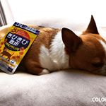 今日は1時間もお散歩頑張りました🐕🌟..ちょっぴりおデブさん&関節が弱い&hellip;という事もあって最近ではサプリ飲んでます🤞🏼💊.そのままだと警戒しちゃうので、大好きなソーセージに混ぜて🍖&hellip;のInstagram画像