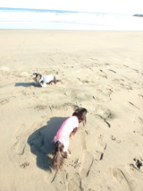 口コミ：祝２５周年♪円熟味噌ｼﾘｰｽﾞの画像（9枚目）