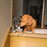 よろしくお願いします☆