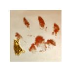 2月22日は猫の日🐱純金の小さな猫と、開運免許証が届きました🌟 The cat will bring me happy 🐈🐾#開運 #猫の日 #猫 #catday #happycat #luc&hellip;のInstagram画像