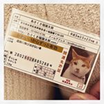 2/22は #猫の日 🐈💕開運の豆猫ちゃんお守りいただきました(*&acute;&omega;`*)かわいい🐾大事にしたらご利益あるかな✨#あさくさ福猫太郎 #monipla #あさくさ福猫太郎ショップファンサイト参&hellip;のInstagram画像