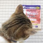 ☆☆☆DHCの猫ちゃんサプリメントお試しさせていただいてます🐱・@kinako_89 &larr;猫用igにも載せましたがこちらでも^^;載せますね〜😺・・こんなネコちゃんにおススメ🎵&hellip;のInstagram画像