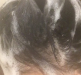 口コミ：お試し♪ 魂のハッピースマイルシャンプーの画像（3枚目）