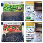 《ＤＣＭブランド 栽培セット》モニター参加中.『ブロッコリースプラウト』と『ラディッシュ』の栽培セットを頂きました。栽培説明書を読むと、2種類とも生育適温（15〜20℃）まだまだ寒&hellip;のInstagram画像