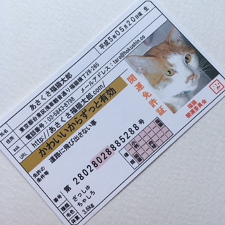 口コミ：開運のあさくさ福猫太郎♪の画像（2枚目）